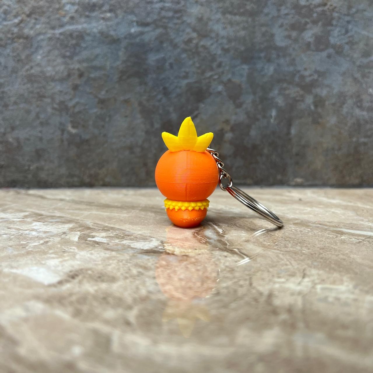 TORCHIC vista 3